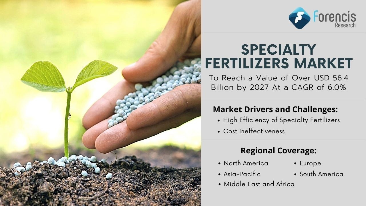 Dự báo thị trường phân bón đặc biệt tới năm 2031 Dự báo thị trường phân bón đặc biệt tới năm 2031