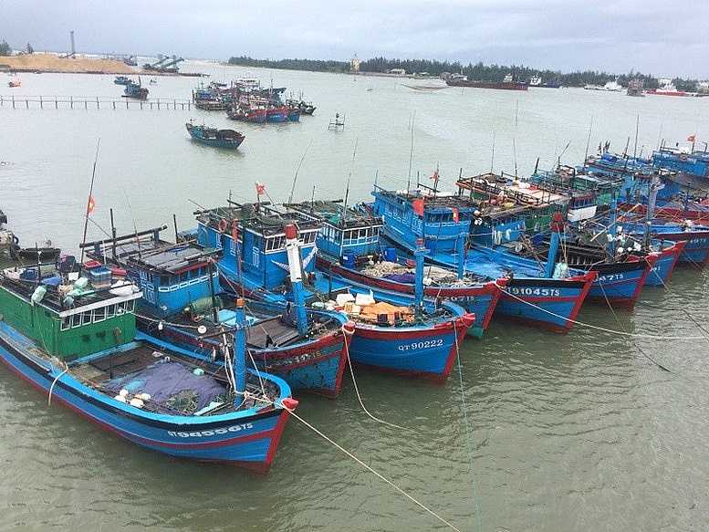 Quảng Trị: Tập trung giải quyết dứt điểm tàu cá 
