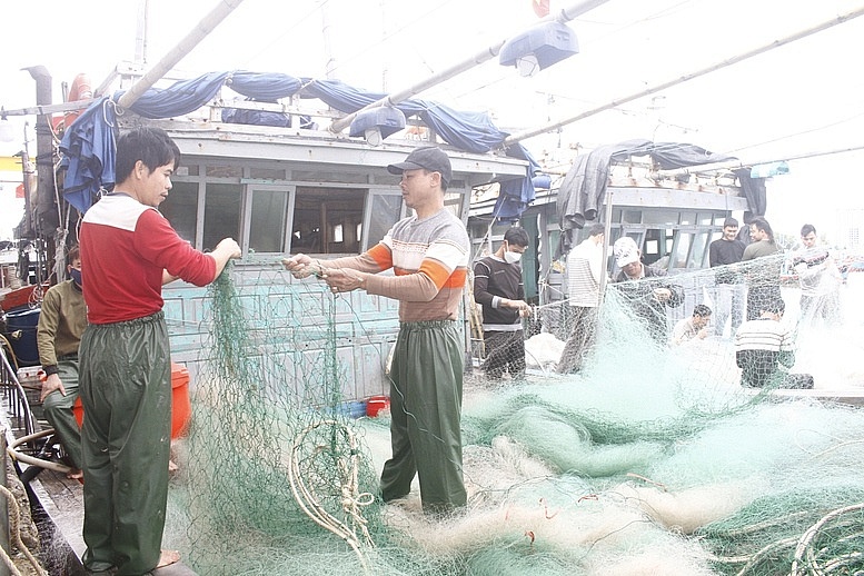 Quảng Trị: Tập trung giải quyết dứt điểm tàu cá 