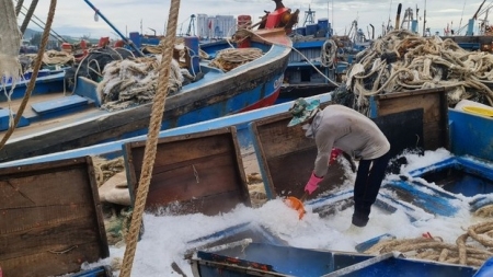 Đà Nẵng mở đợt cao điểm kiểm tra, xử phạt các hành vi khai thác IUU