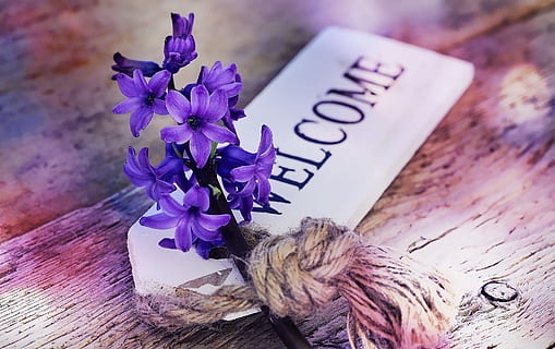 Tử vi ngày 13/7/2024: Tuổi Tỵ cơ hội hứa hẹn, tuổi Tuất tình cảm hài hòa