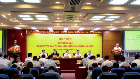 [PetroTimesTV] Cần quy định rõ việc sử dụng quỹ đầu tư phát triển để tại doanh nghiệp