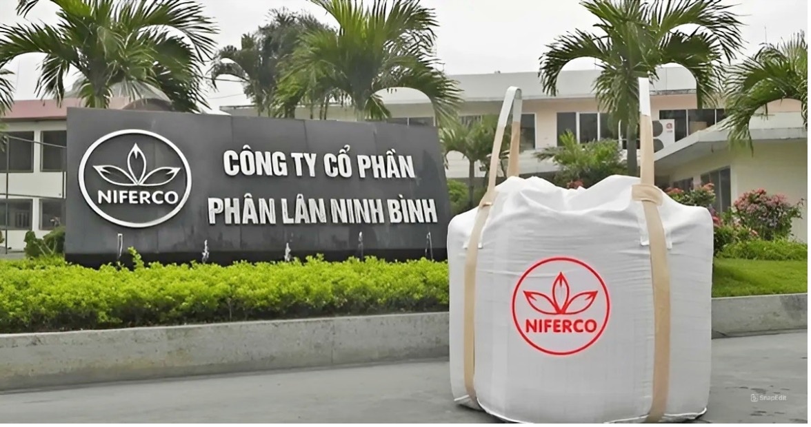 Phân lân Ninh Bình lãi lớn hai quý đầu năm 2024