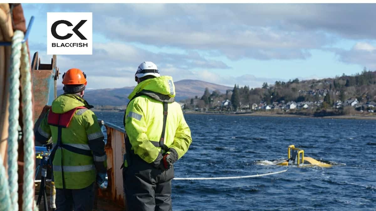 Anh phát triển giải pháp mới thay đổi cuộc chơi cho ngành điện gió nổi ngoài khơi