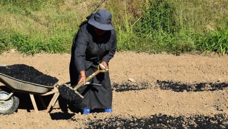 Mô hình lưu trữ carbon mới với các nước đang phát triển