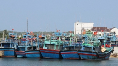 Bình Định sẽ thu hồi giấy phép tàu cá không lắp thiết bị giám sát hành trình