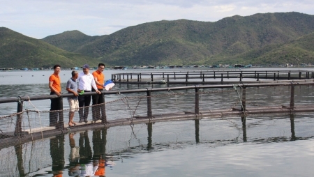 Khánh Hòa: Thúc đẩy cho vay vốn nuôi biển công nghệ cao