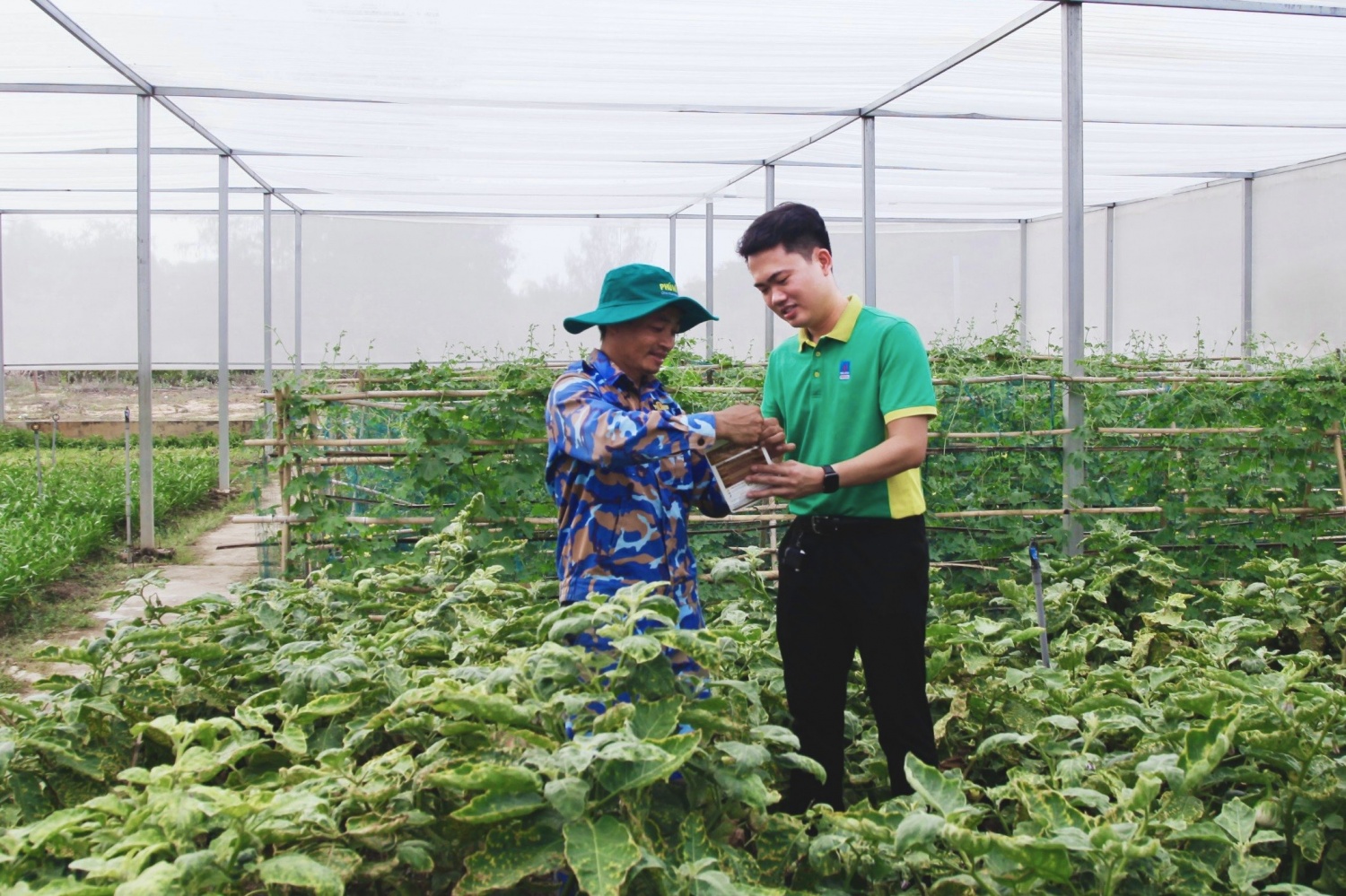 PVFCCo xây dựng mảng xanh Lữ đoàn – Gắn kết tình quân dân