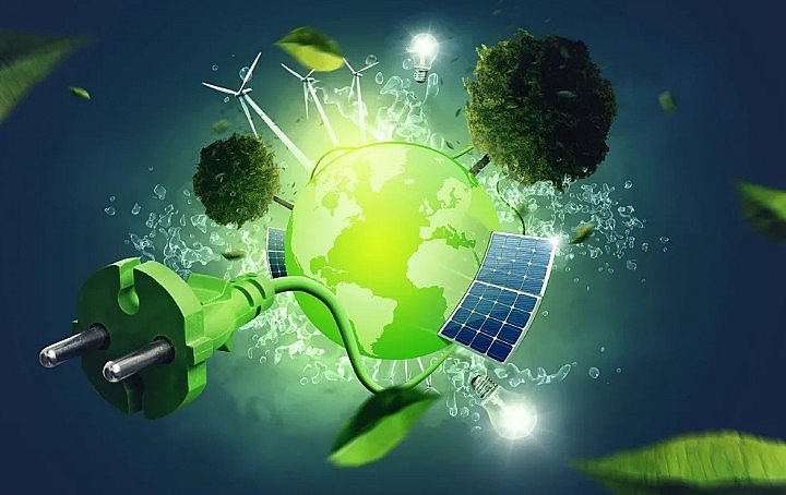 Ảnh: Internet Ảnh: Internet