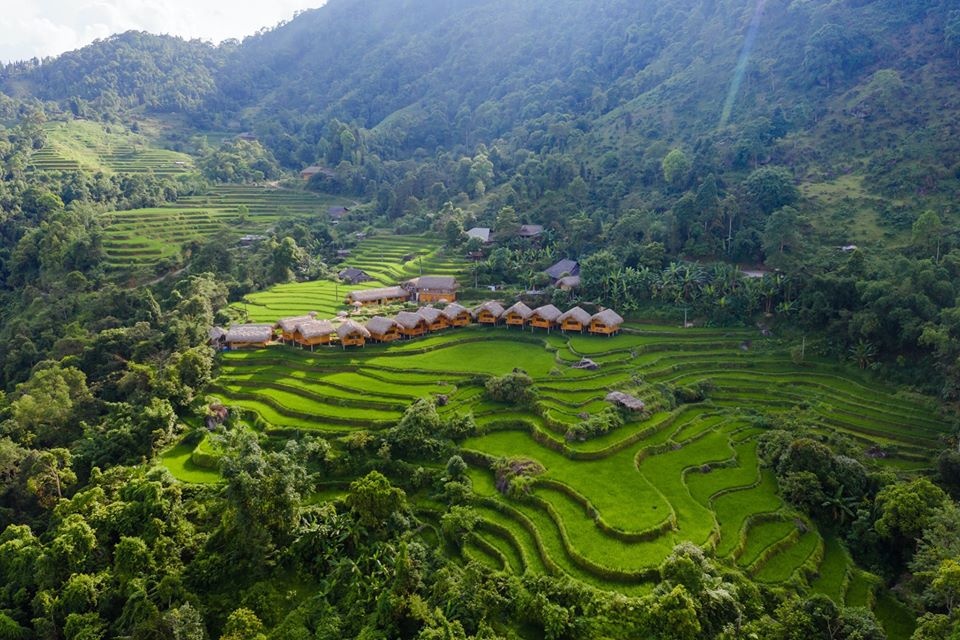 Chiêm ngưỡng vẻ đẹp ruộng bậc thang mùa lúa xanh ở Hoàng Su Phì