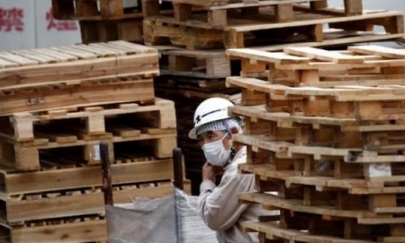 Nhật Bản: Tâm lý của doanh nghiệp giảm sút do nhu cầu ảm đạm từ Trung Quốc