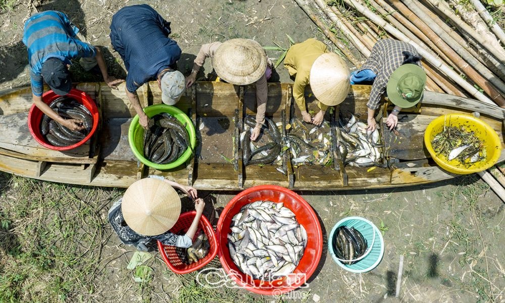 Trải nghiệm U Minh Hạ mùa sa mưa