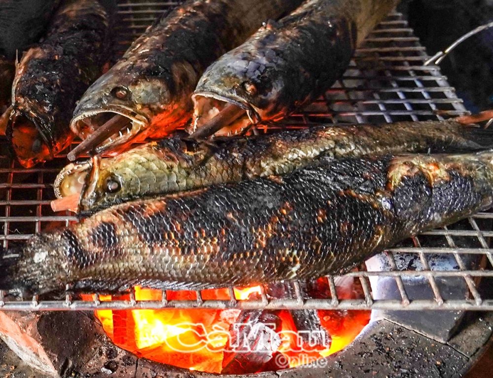 Trải nghiệm U Minh Hạ mùa sa mưa