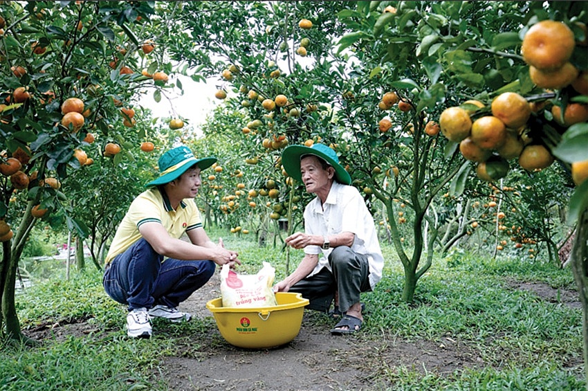 PVCFC - Nỗ lực hướng tới trung hòa carbon