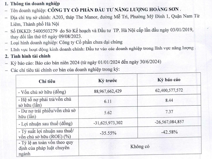 Công ty năng lượng của đại gia Vũ Quang Bảo triền miên lỗ