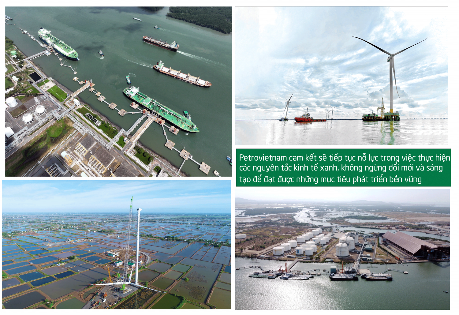 [P-Magazine] Petrovietnam phát triển kinh tế xanh bền vững hóa ngành năng lượng