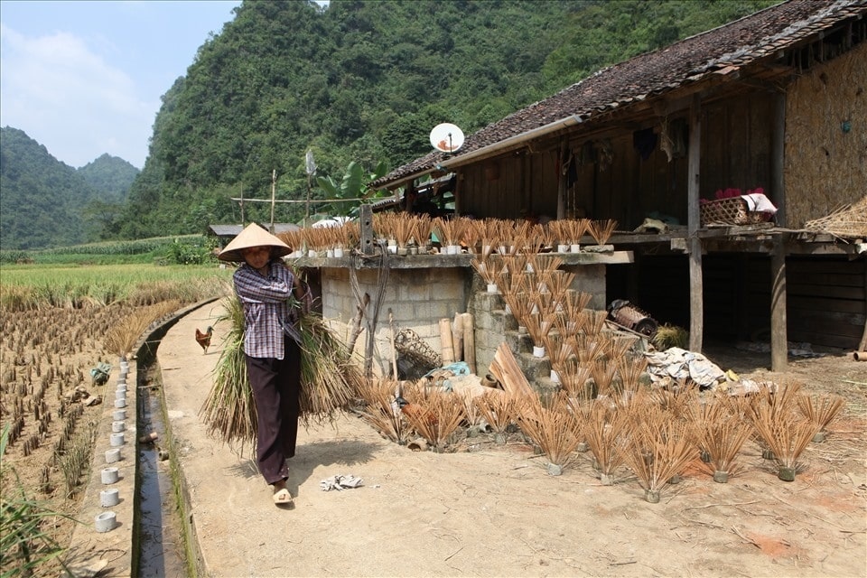 Khám phá vẻ đẹp của Công viên địa chất Non nước Cao Bằng