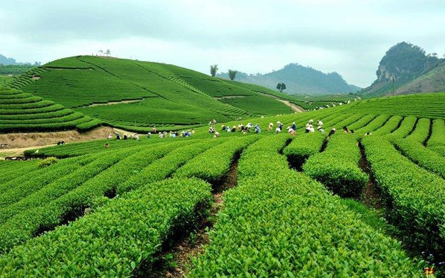 Về miền di sản Việt Bắc