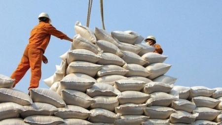 Tin tức kinh tế ngày 25/8: Giá gạo xuất khẩu chạm mức cao nhất trong gần 3 tháng