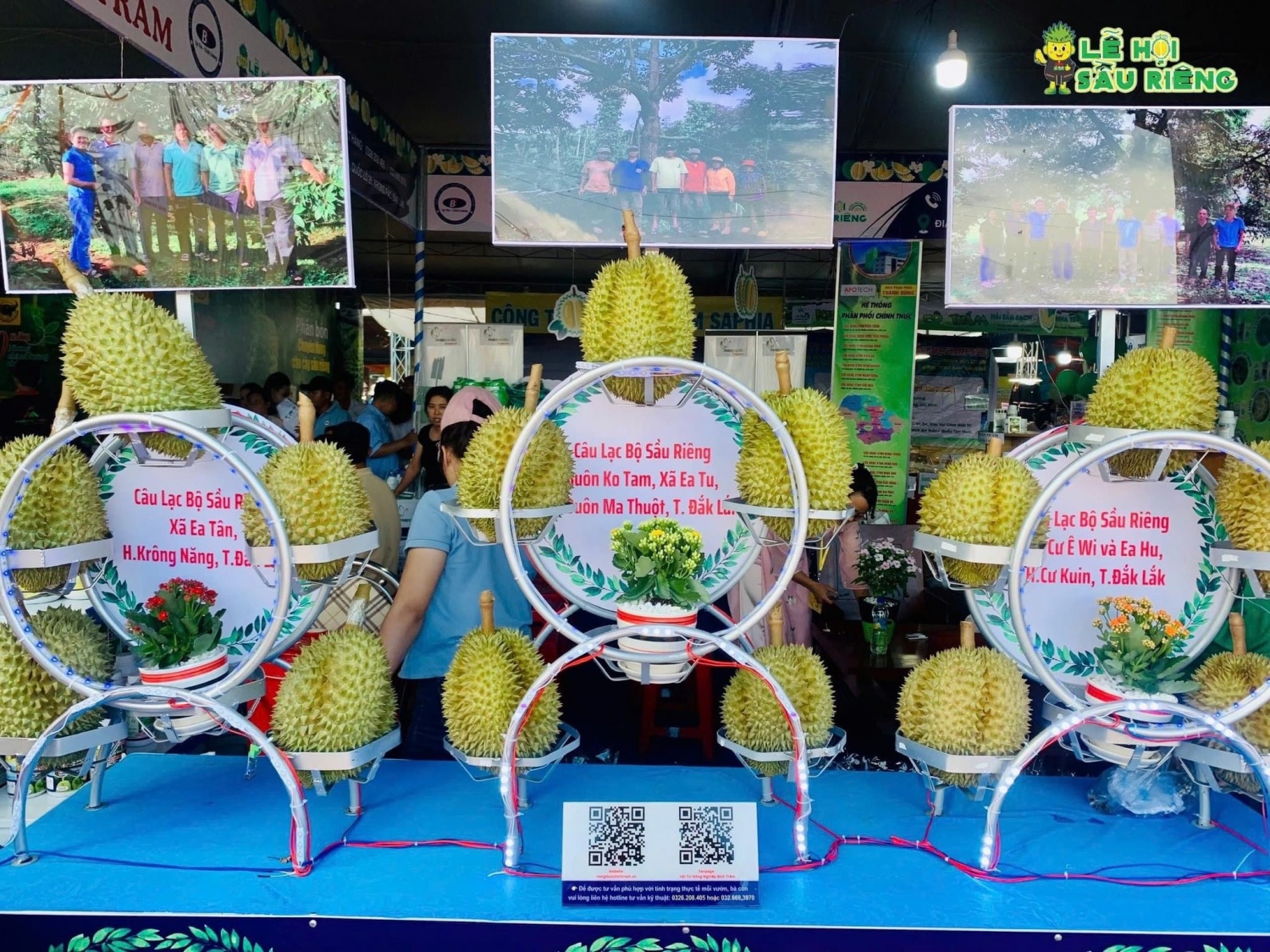 Khai mạc Lễ hội Sầu riêng Krông Pắc, Phân bón Cà Mau là nhà tài trợ kim cương