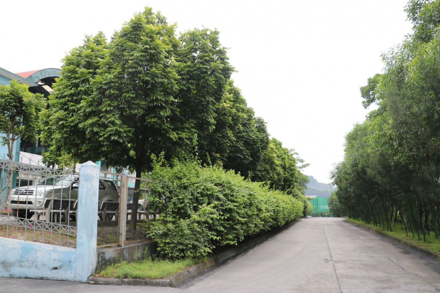 TKV thực địa Than Uông Bí 