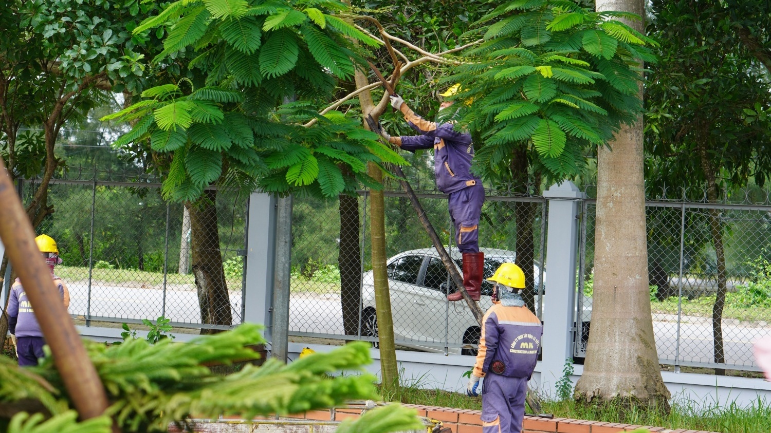 [PetroTimesTV] Nhà máy Nhiệt điện Thái Bình 2 ứng phó trước "siêu bão" Yagi