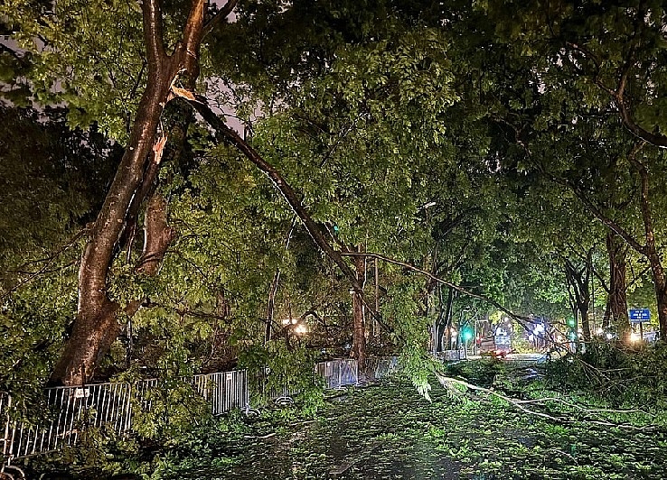 [Chùm ảnh] Hà Nội tan hoang sau bão Yagi