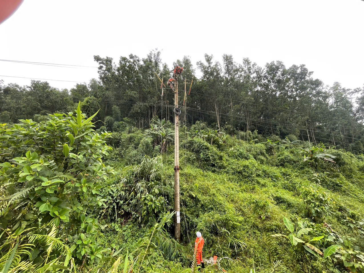 Cơ bản khôi phục cung cấp điện cho TP Hạ Long (Quảng Ninh) trong ngày 10/9
