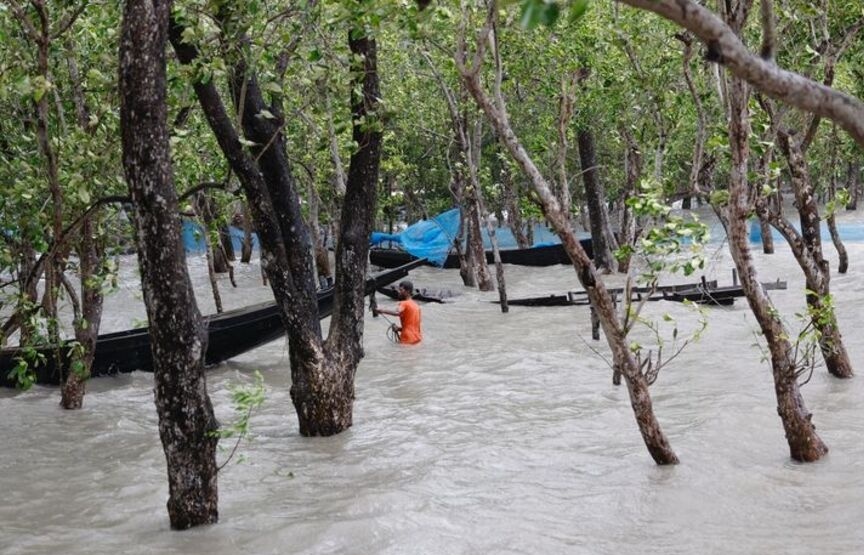 WB: Tài trợ cho ứng phó với biến đổi khí hậu đạt mức kỷ lục