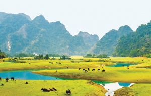 Đồng Lâm - Thảo nguyên xanh xứ Lạng