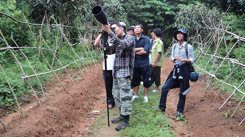 Vẻ đẹp của sân chim ở Hòn Trứng (Côn Đảo)