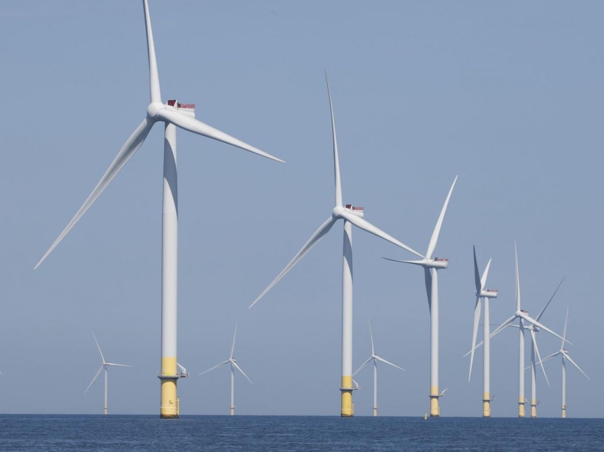 Hà Lan đạt cột mốc lịch sử về năng lượng tái tạo