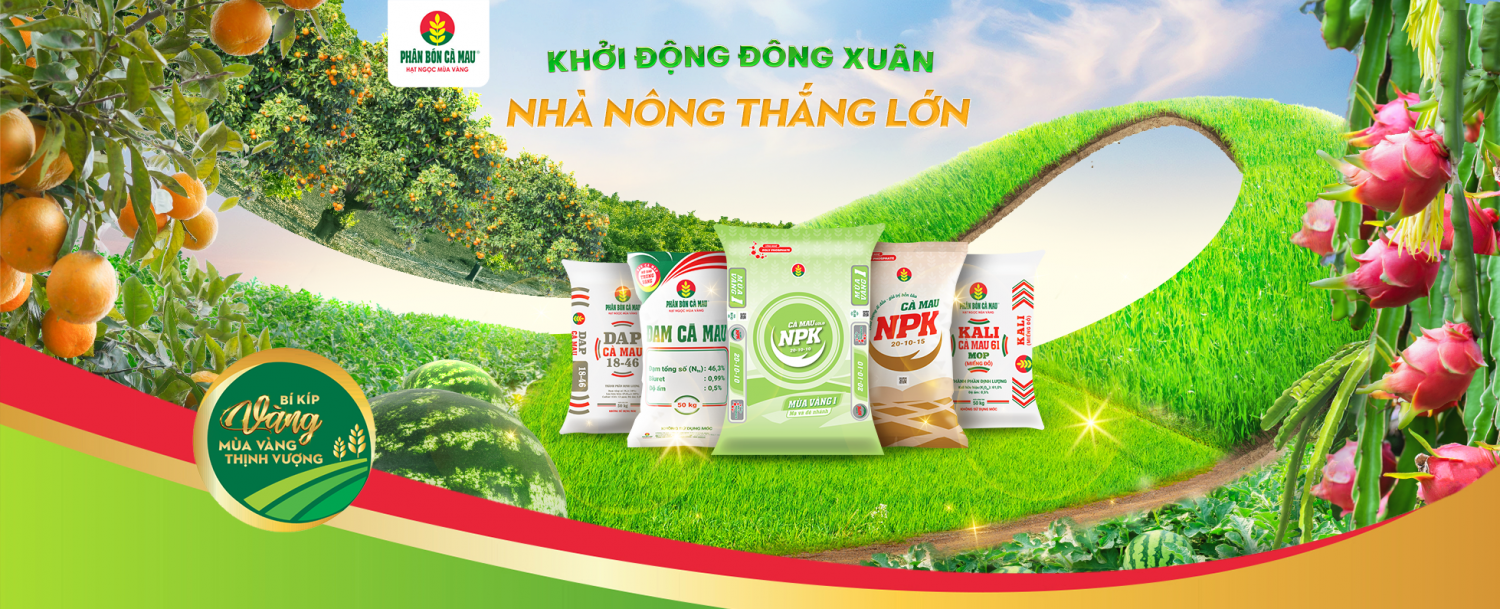 Phân bón Cà Mau: Kỹ thuật trao tay_Vượt khó khăn ngay