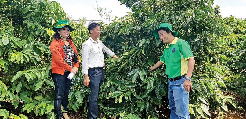 Áp thuế GTGT phân bón 5%, lợi ích thiết thực cho nông nghiệp nông dân
