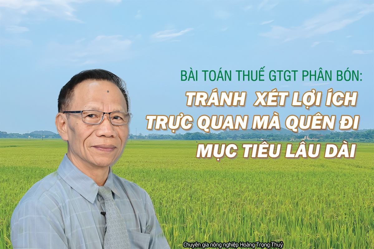 Bài toán thuế GTGT phân bón: Tránh xét lợi ích trực quan mà quên đi mục tiêu lâu dài