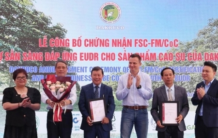 Dakruco được cấp chứng nhận FSC với trách nhiệm quản lý rừng bền vững