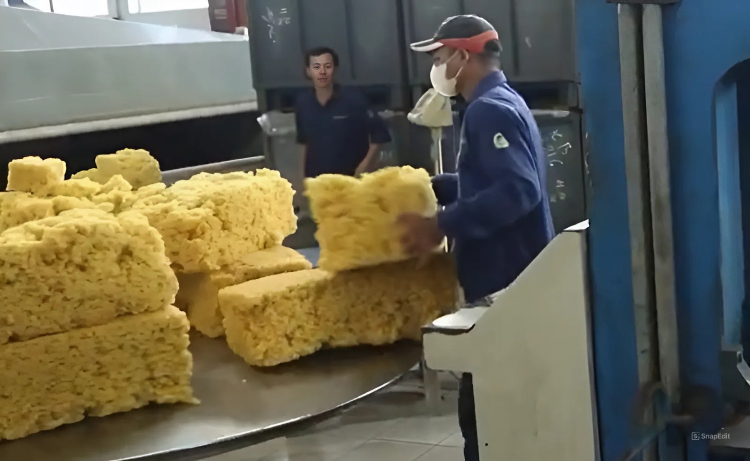 Dakruco được cấp chứng nhận FSC với trách nhiệm quản lý rừng bền vững