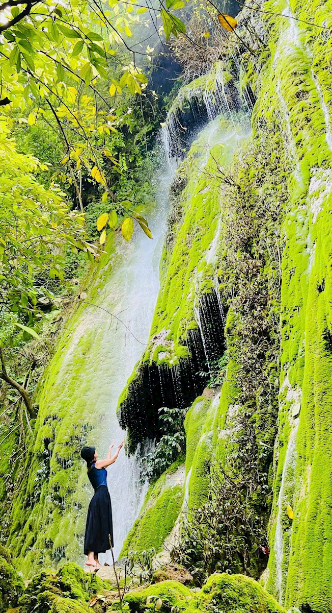 “Tan chảy” trước vẻ đẹp nguyên sơ của thác Rêu Sìn Hồ “Tan chảy” trước vẻ đẹp nguyên sơ của thác Rêu Sìn Hồ