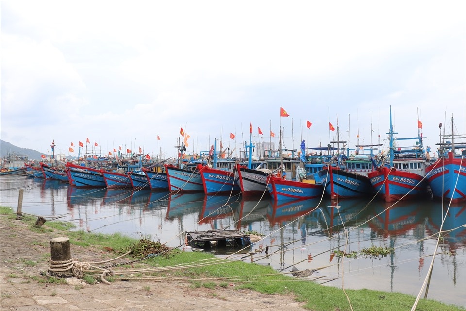 Thủ tướng chỉ đạo 11 tỉnh, thành phố và 8 Bộ chủ động ứng phó bão Trami Thủ tướng chỉ đạo 11 tỉnh, thành phố và 8 Bộ chủ động ứng phó bão Trami