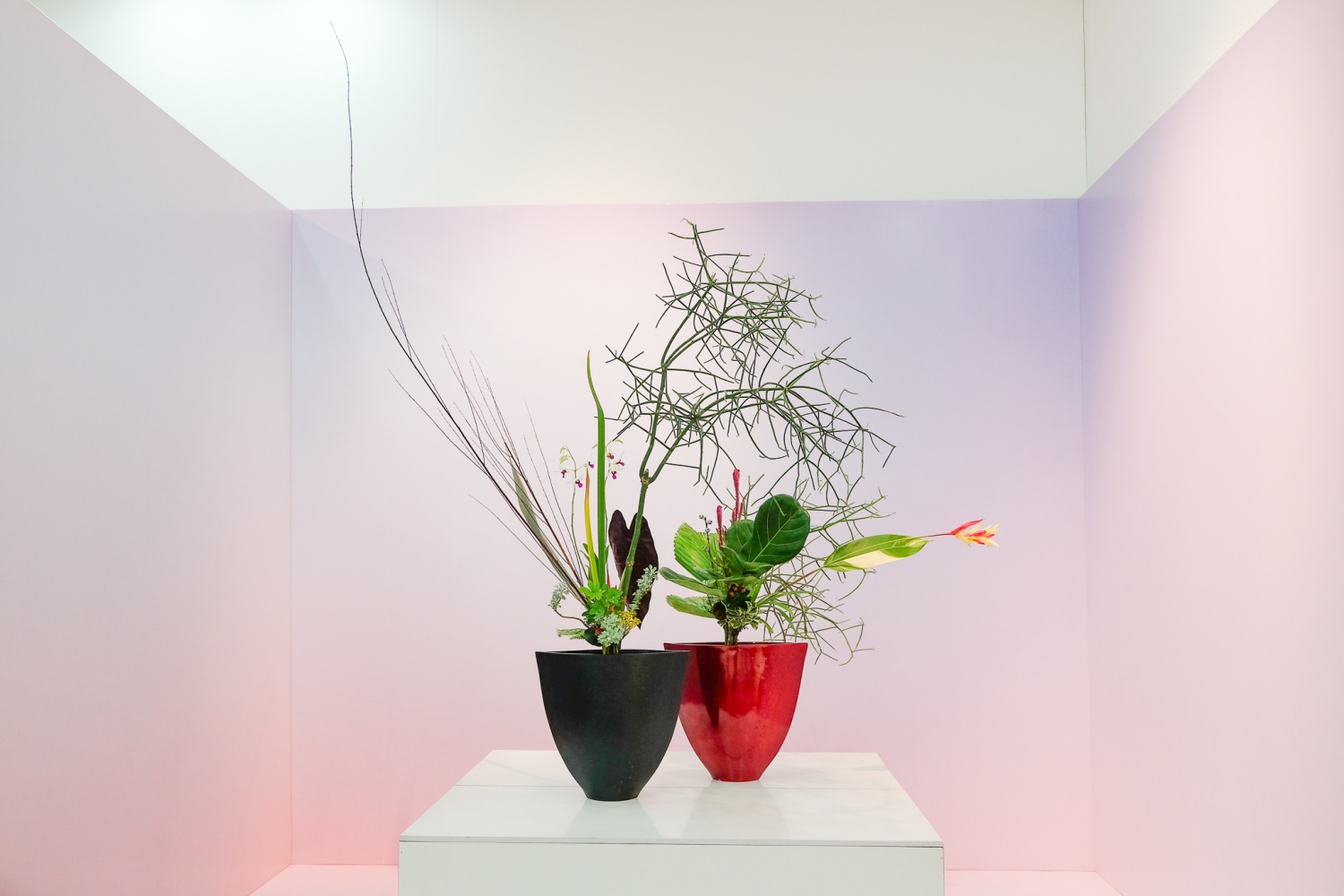 Triển lãm Ikebana Hà Nội lần thứ VII - Trở về tâm thế thuần khiết Triển lãm Ikebana Hà Nội lần thứ VII: Trở về tâm thế thuần khiết