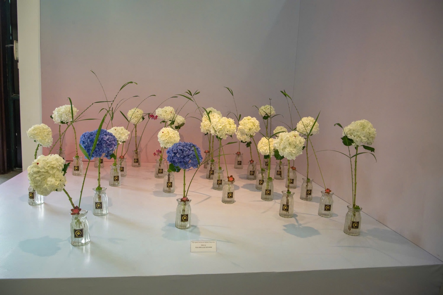 Triển lãm Ikebana Hà Nội lần thứ VII - Trở về tâm thế thuần khiết