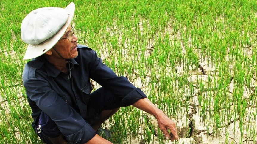 Chậm thay đổi chính sách thuế GTGT phân bón có thể khiến nông sản Việt thua thiệt trên trường quốc tế