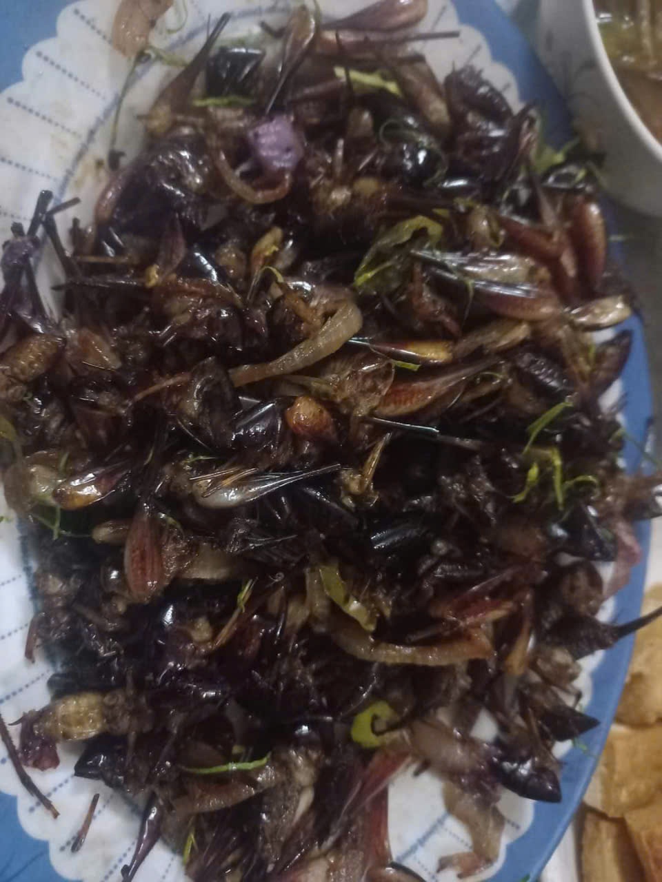 Thảo nguyên Đồng Cao, mùa cỏ mượt như nhung