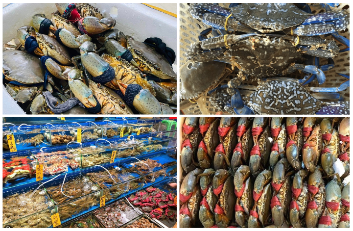 Tin tức kinh tế ngày 18/11: Cua ghẹ Việt Nam “đắt hàng” tại Trung Quốc