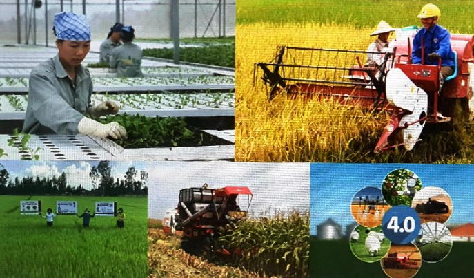 Hà Nội sẽ đối thoại với nông dân về chuyển đổi số
