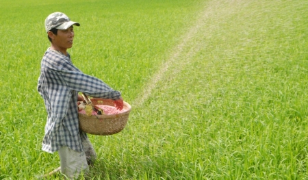 “Ba nhà” chịu thiệt như thế nào khi phân bón không chịu thuế GTGT?