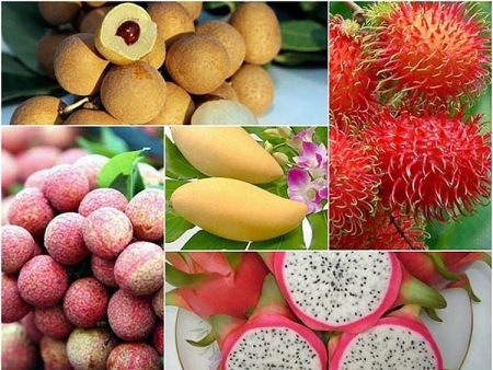 Tin tức kinh tế ngày 15/12: Xuất khẩu rau quả “về đích” sớm