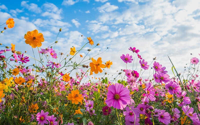 Tử vi ngày 17/12/2024: Tuổi Tỵ phản hồi tích cực, tuổi Dậu vận may tuyệt vời Tử vi ngày 17/12/2024: Tuổi Tỵ phản hồi tích cực, tuổi Dậu vận may tuyệt vời