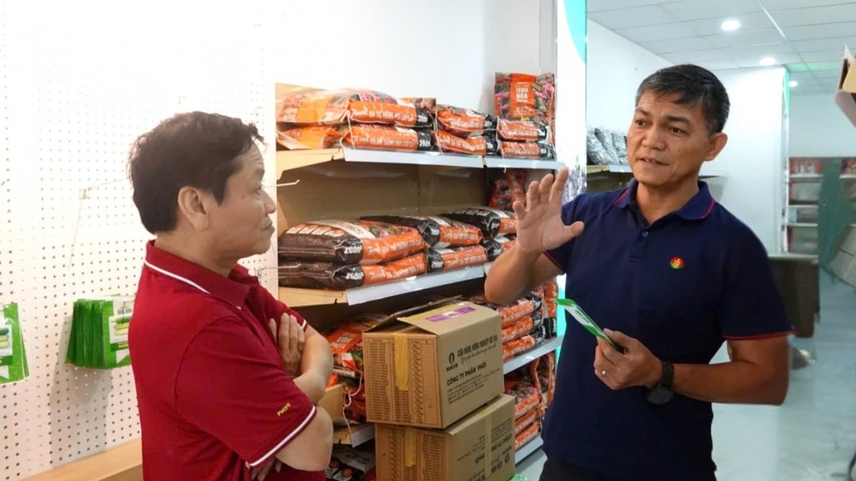 Phân bón Cà Mau bắt nhịp xu hướng nông nghiệp đô thị