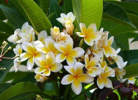 Tử vi ngày 20/12/2024: Tuổi Thìn biểu hiện xuất sắc, tuổi Ngọ tinh thần nhiệt huyết